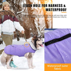 iBuddy Dog Winter Jackets with Fleece Vest,Waterproof Warm Dog Snow Jacket Windproof, Reflective Adjustable Pet Dogs Cold Winter Coat for Large Dogs Girl Boy