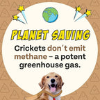 Peanut Butter Dog Treats, Healthy Puppy Treat, Pumpkin, Cricket, Gift for Pet Lovers, Natural Dog Snacks, Hypoallergenic, Gut-Healthy, Medium and Large Dogs, Sustainable Products