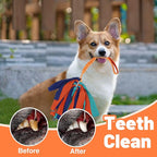 wodoca Interactive Dog Toys, Dog Rope Toys for Aggressive Chewers -Tough Rope Tug of War Dog Toys, Dog Tug Toy for Boredom for Small Medium Puppy Interacting Games (Orange)