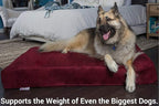 Barker Beds Giant Orthopedic Dog Bed for Large Dogs - 7" Thick Washable Big Dog Bed with Headrest - XL Water-Resistant Mattress - Durable Microsuede Cover - Comfy Pet Bed (Khaki)