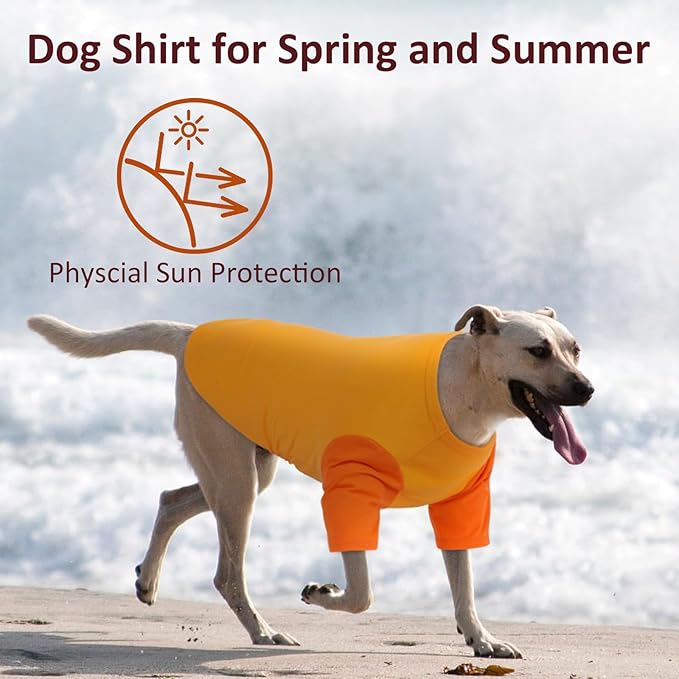 2 Pack Large Dog Shirts for Summer - Stretchy Breathable Cotton Dogs T-Shirt, Protect Skin Easy On and Off Dogs Clothes for French Bulldog, Pug, Daily Wear, Park, Travel, Beach Trips, Orange