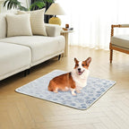 Qeils Reusable Puppy Pads, 2 Pack Washable Pee Pads for Dogs, Non Slip Wee Wee pad, Absorbent and Leakproof Training Mats for Potty, Crate, Playpen, Bed, Sofa, 23"x 36"