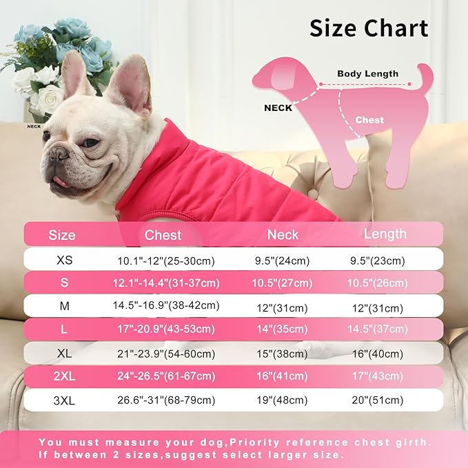 2 Layers Fleece Lined Warm Dog Jacket for Winter Cold Weather,Soft Windproof Medium Dog Coat,Pink XL