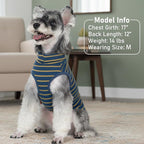 KYEESE 2Pack Dog Sweater Pullover Pet Sweatshirt Stretchy Dogs Clothes Soft Dachshund Clothes Warm Doggie Coats Turtleneck Small Pets Sweaters Dog Sweaters for Small Dogs Male