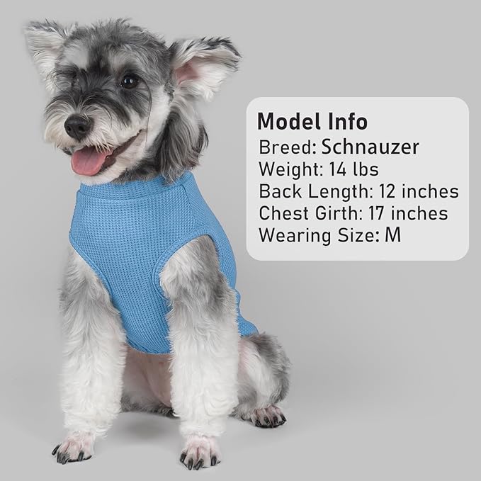 KYEESE 2Pack Waffle Dog Shirts for Small Dogs Stretchy Dog T-Shirts Lightweight Pet Tank Top Sleeveless Striped Pet Shirt Vest Breathable Cat Shirt, Small, Blue+Striped