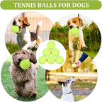 DIVINA VITAE 20Pcs Small Tennis Balls for Dogs, 2 Inch Colorful Mini Tennis Balls Fits All 2 Inch Dog Ball Launchers(Yelllow)