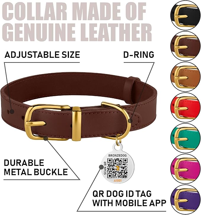 BRONZEDOG Leather Dog Collar with Metal Buckle Durable Basic Pet Collars for Small Medium Large Dogs (19-21 Inch (Pack of 1), Dark Brown & Gold Buckle)