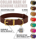 BRONZEDOG Leather Dog Collar with Metal Buckle Durable Basic Pet Collars for Small Medium Large Dogs (11-13 Inch (Pack of 1), Dark Brown & Gold Buckle)