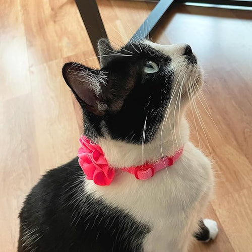 azuza 2 Pack Cat Collar Floral with Bell and Removable Flower Bowtie Breakaway Adjustable Velvet Fabric Cat Collar for Pets and Daily Decoration, Light Pink & Dark Pink