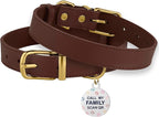 BRONZEDOG Leather Dog Collar with QR ID Tag Basic Pet Collars for Small Mini Dogs Cats Puppies (7-9 Inch (Pack of 1), Dark Brown & Gold Buckle)