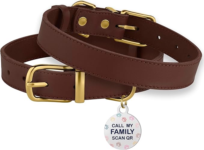 BRONZEDOG Leather Dog Collar with Metal Buckle Durable Basic Pet Collars for Small Medium Large Dogs (19-21 Inch (Pack of 1), Dark Brown & Gold Buckle)