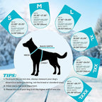 EMUST Dog Cold Weather Coats, Fleece Lining Small/Medium/Large Dog Jacket for Winter, Warm Waterproof Pet Winter Clothes for Large Dogs, Turquoise, XL