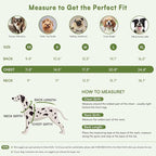 Queenmore Pullover XL Dog Sweater,Classic Turtleneck Warm Dogs Sweater with Leash Hole for Dog Girls Boys,Winter Knitwear Clothes for Dachshund,Corgi,French Bulldog(Green,XL)
