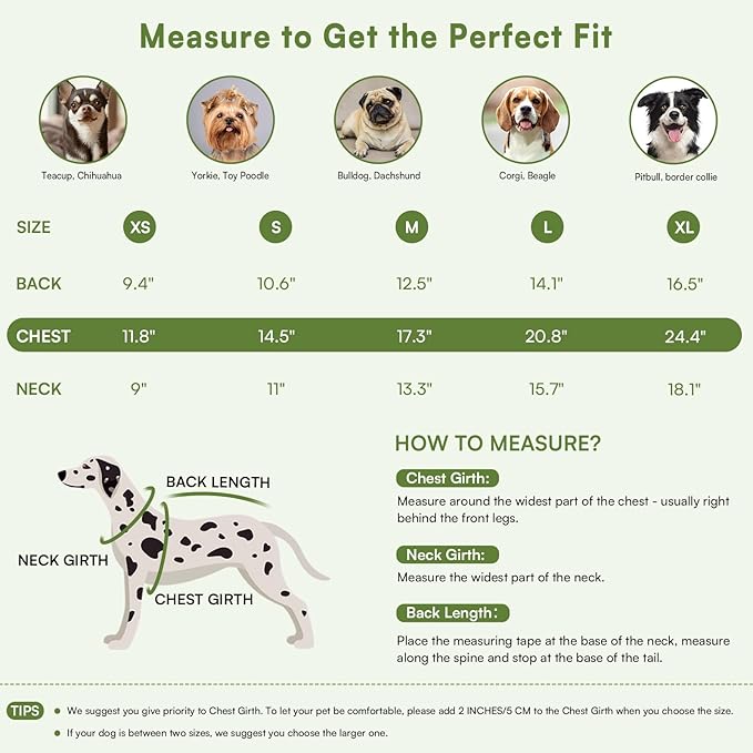 Queenmore Pullover XL Dog Sweater,Classic Turtleneck Warm Dogs Sweater with Leash Hole for Dog Girls Boys,Winter Knitwear Clothes for Dachshund,Corgi,French Bulldog(Green,XL)