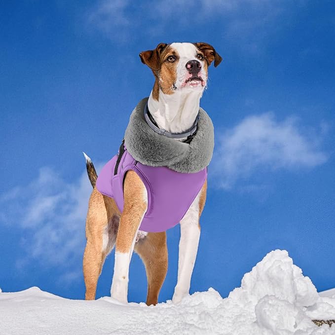 PETDSH Dog Coat Large, Windproof Dog Jacket with Warm Fleece Lining, Thickened Collar Dogs Winter Coat, Adjustable Reflective Pet Coats for Cold Weather (Purple, Large)