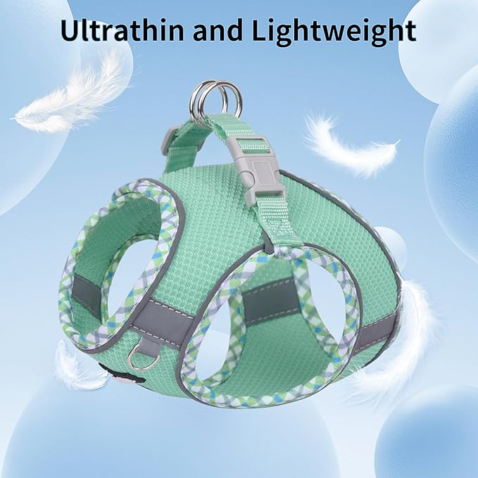 AIITLE Teacup Puppy Harness with Leash - Adjustable Soft Vest with Magic Tape & Reflective Safety Strips, Easy-Put-On for Poodles, Pomeranians - Gym, Hiking, Travel (Turquoise, S)