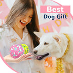 Petcare 2 Pack Dog Balls Toys for Aggressive Chewers Indestructible Tennis Balls for Medium Large Dogs Water Toy Chew Ball Tough Durable Big Dog Toys Bouncing Ball for Dogs to Fetch, Pink+Green