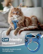 FAYOGOO Cat Harness, Cat Leash and Harness Set for Walking Escape Proof, Harness for Small Cats/Small Dogs, Large Kitten/Puppy Harness and Leash, Harness for Cats S-XXL(Tranquil Teal, XX-Large)