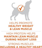 Purina One +Plus Dry Dog Food High Protein Healthy Weight, Real Turkey - 40 lb Bag