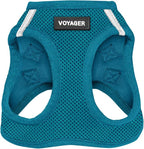 Best Pet Supplies Voyager Step-in Air Harness - All Weather Mesh, Reflective, No Pull Harness for Dogs, Cats - Secure with Hook & Loop Fastener, Buckle, Double D-Rings - Turquoise, M