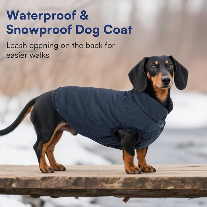 ASENKU Dog Winter Coat - Waterproof Windproof Dog Jacket, Warm Snowproof Doggie Puffer Vest for Cold Weather, Lightweight Snow Coats for Small Medium Large Dogs (XS, Blue)