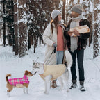 Kuoser Waterproof Dog Coat, Reversible Dog Jacket for Large Dogs, Adjustable Durable Doggie Winter Coat for Groowing Puppies Warm Puppy Cold Weather Apparel, Rose L