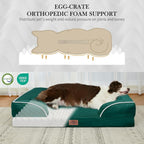 Comfort Expression Orthopedic Dog Bed for Small Dogs 20x14 Inch, Waterproof Supportive Egg Crate Foam Small Pet Bed with Removable Bolsters, Dog Couch with Washable Cover & Non-Slip Bottom, Emerald