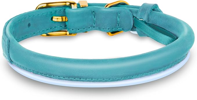 OOPSDOGGY Reflective Rolled Leather Dog Collar Adjustable Soft Padded Pet Collar for Small Medium Large Breed Dogs (Teal, XXL, 20"-24")