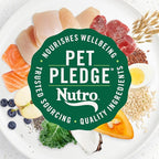 Nutro Ultra High Protein Dry Puppy Food, Trio of Proteins from Chicken, Lamb and Salmon, 22 lb Bag