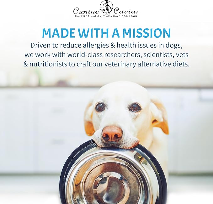 Canine Caviar - Free Spirit: Chicken & Pearl Millet Alkaline Dry Dog Food, Limited Ingredients, Gluten-Free, Based on Science & Research, Veterinary Alternative Diet (11 Pound Bag)
