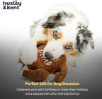 Huxley & Kent Funny Dog Toy w/Squeaker – Thanksgiving Fall Power Plush Squeaky Dog Toys for Small, Medium & Large Dogs – Soft Stuffed Animal for Indoor Play & Fetch - I'm Stuffed Turkey, Large