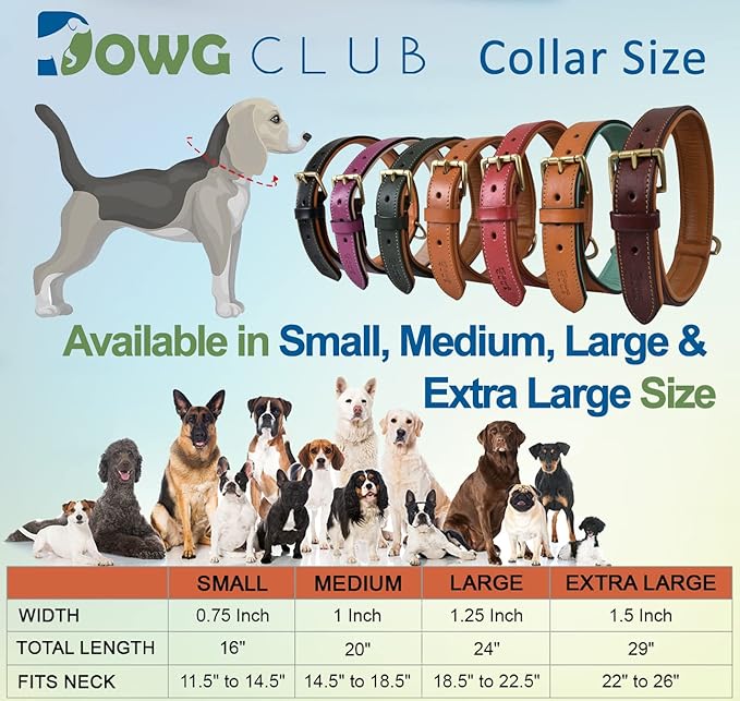 Leather Collar with Scalloped Edges for Medium Dogs | Genuine, Hand Tooled, Hand Carved, Full Grain, Heavy Duty, Comfortable (Medium (Fit Neck Size 14.5"-18.5"), Brown-Scalloped Edges)