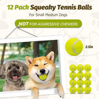 Nobleza 12 Pack 2.5' Floatable Squeaky Tennis Balls for Small Medium Dogs, Training Safe Natural Rubber Squeaky Dog Balls for Fetch Exercise, Yellow