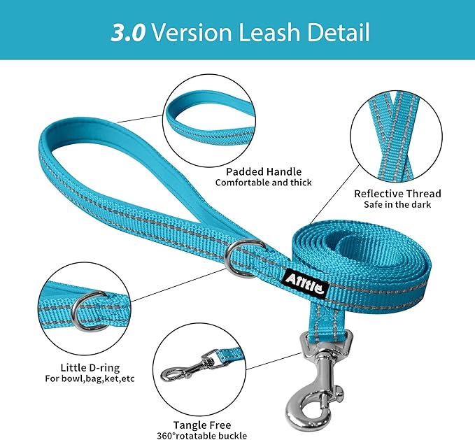AIITLE Small Harness for Puppy with A Leash - Summer Dog Vest Harness with Super Breathable Mesh, Reflective No-Pull Pet Harness for Outdoor Walking, Camping for Small Dogs, Cats Hot Pink XXS