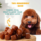 PETIPET Plant-Based Pumpkin Dog Treats - Pumpkin, Carrot, Apple, and Blueberry Soft & Chewy - Vegetarian, Vegan Dog Treats with Organic Ingredients - Low-Protein, Hypoallergenic, Gluten-Free