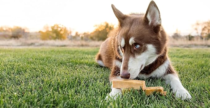 peaksNpaws Yak Cheese, High Protein, Himalayan Dogs Chews, Natural Dog Treats, Lactose Free, Long Lasting Dogs Treat for Aggressive Chewers Over 80 lbs, 3 Jumbo Chew Sticks