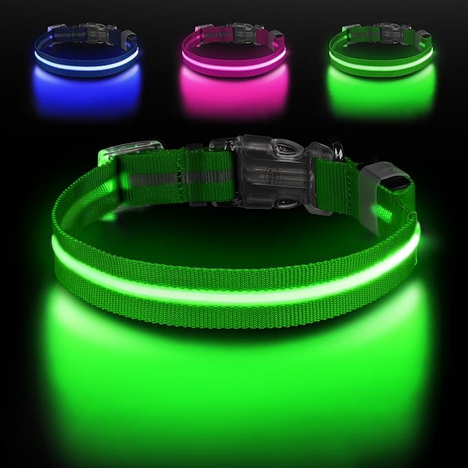Light Up Dog Collar, Adjustable USB Rechargeable Glow in Dark Dog Collar ，Waterproof Dog Collars for Small Dogs (Green, Small)