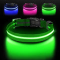 JewyowLight Up Dog Collar, Adjustable USB Rechargeable Glow in Dark Dog Collar ，Waterproof Dog Collars for Large Dogs (Green, Large)