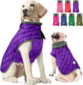 Fragralley Dog Winter Coat, Waterproof Windproof Reflective Fleece Jacket with Harness Hole, Warm Snow Vest for Small Medium Large Dogs, Ideal Gifts