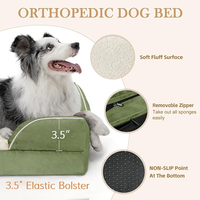 Comfort Expression Orthopedic Dog Bed for Small Dogs 20x14 Inch, Waterproof Supportive Egg Crate Foam Small Pet Bed with Removable Bolster, Dog Couch with Washable Cover & Non-Slip Bottom, Light Green