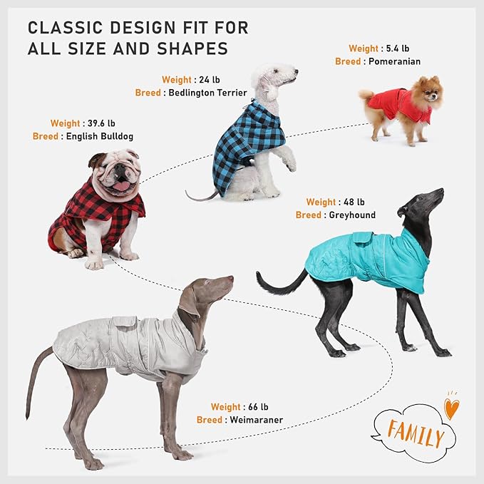 PAWZ Road Dog Winter Coat with 5 Layers Warm Material, Reversible Dog Clothes with 2 Sides, Dog Jacket Outdoor Water Repellent, (Blue Plaid L)