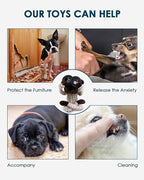HGB Squeaky Puppy Toys, Plush Puppy Chew Toys for Teething, Dog Toys for Small Dogs, Small Dog Toys for Small Breed, Cute Bear Interactive Dog Toys for Pet Training and Entertaining