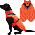 Dog Rain Coat - Waterproof, Reflective, Bright Orange with Leash Hole (L, Orange)