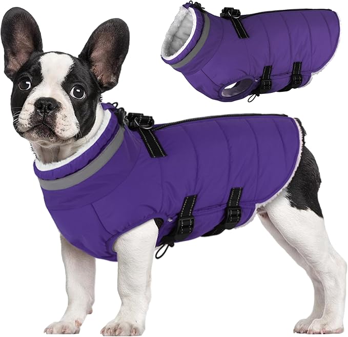 Large Dog Coat with Harness Built-in, Waterproof Reflective Fleece Lined - Warm Windproof Winter Jacket with Back Zipper, Cold Weather Snow Dog Coats - Purple - 3XL