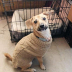 Mihachi Turtleneck Dog Sweater - Winter Coat Apparel Classic Cable Knit Clothes with Leash Hole for Cold Weather, Ideal Gift for Pet in New Year Khaki Medium