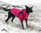 Lelepet Dog Coat 3 in 1 Waterproof Dog Winter Jacket with Harness Built in Windproof Snow Jakcet with Detachable Fleece Sweater Lining Reflective Thermal Cold Weather Coats for Small Medium Large Dogs