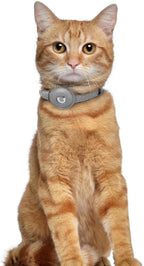 OOPSDOGGY Leather AirTag Cat Collar with Bell - Non Breakaway Kitten Collar with Apple Air Tag Holder - Lightweight GPS Pet Collars for Girl Boy Cats, Small Dogs, Puppies (Gray)