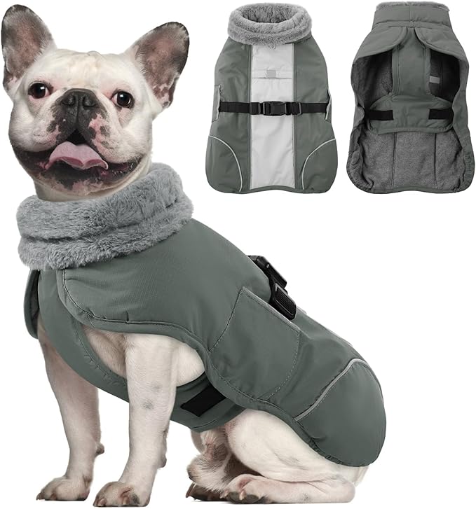 Queenmore Dog Coats for Large Breeds, Dog Snow Jacket, Adjustable Easy On Large Dogs Winter Jackets, Waterproof Cold Weather Pet Coat, Grey, L