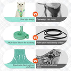 BEAUTYZOO Cat Harness and Leash Set Escape Proof, Small Cat Vest Harness for Walking, Adjustable Step in Kitten Harnesses for Travel, Soft Lightweight Outdoor Cute Kitten Harnesses, Pineapple S