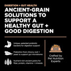 Go! Solutions Digestion + Gut Health, Dry Dog Food, Salmon Recipe with Ancient Grains, 12 lb Bag